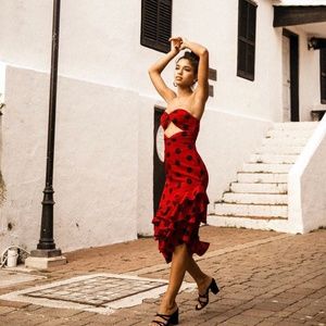 House of Harlow 1960 x REVOLVE Rio Dress